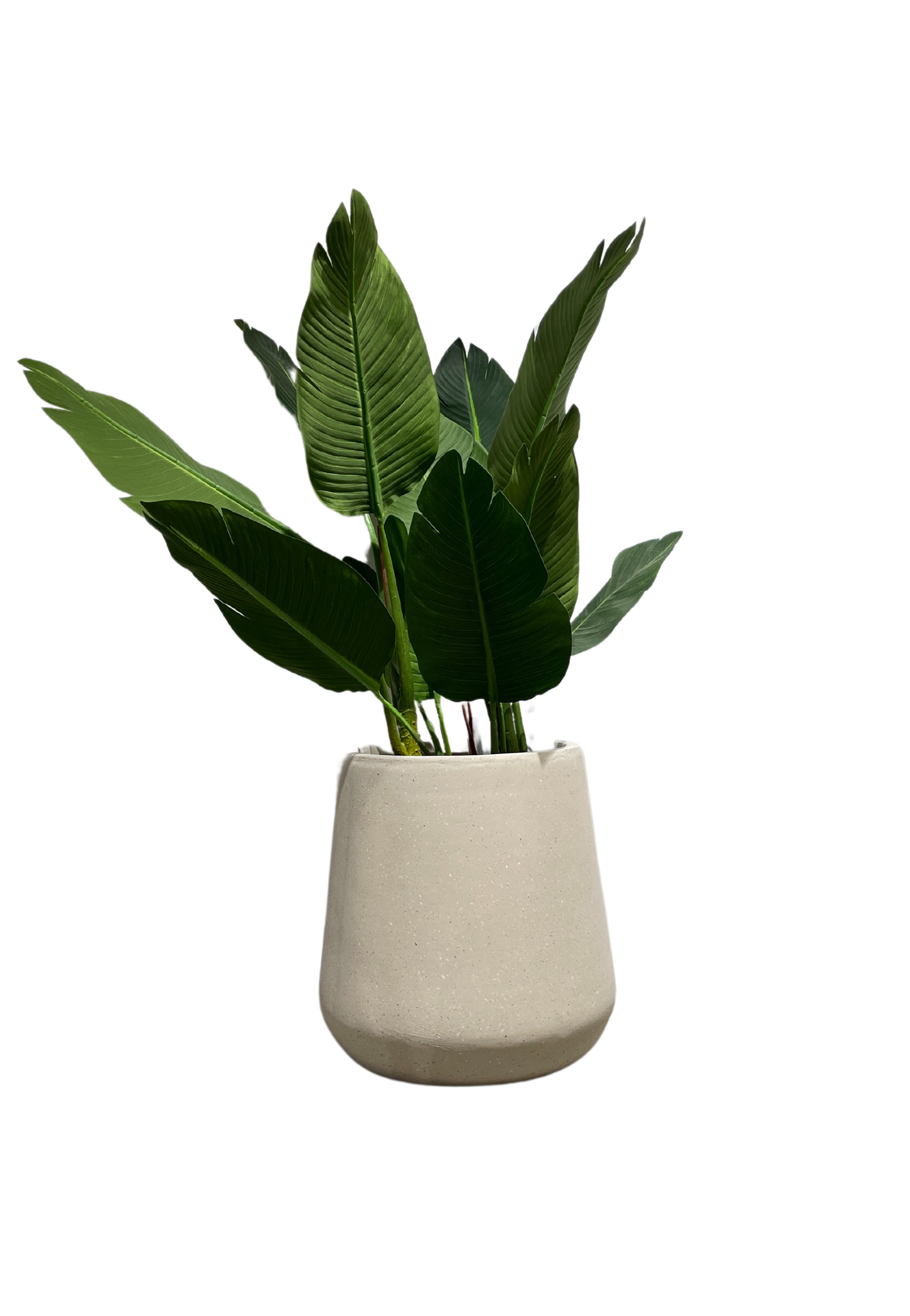 PLANTER FC003