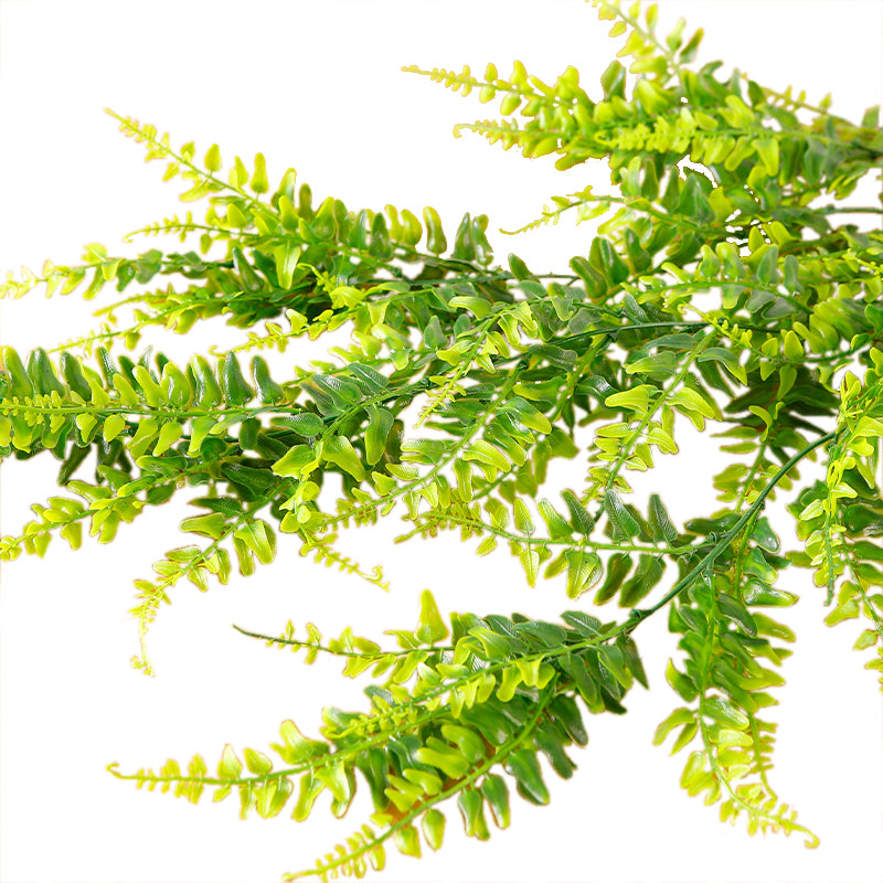 EFOLIA FERN PLANT (80CM) PCS