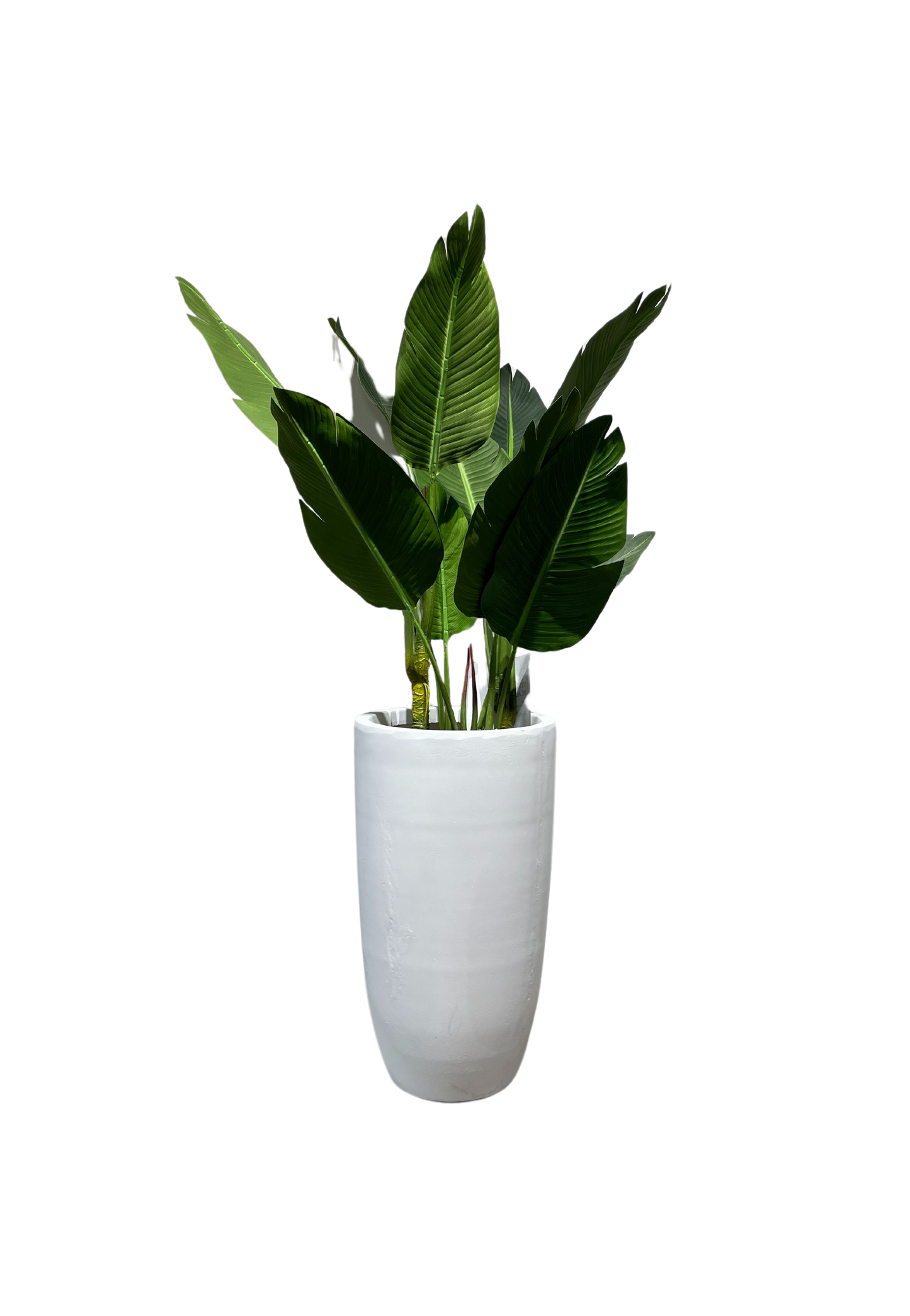 PLANTER FC001