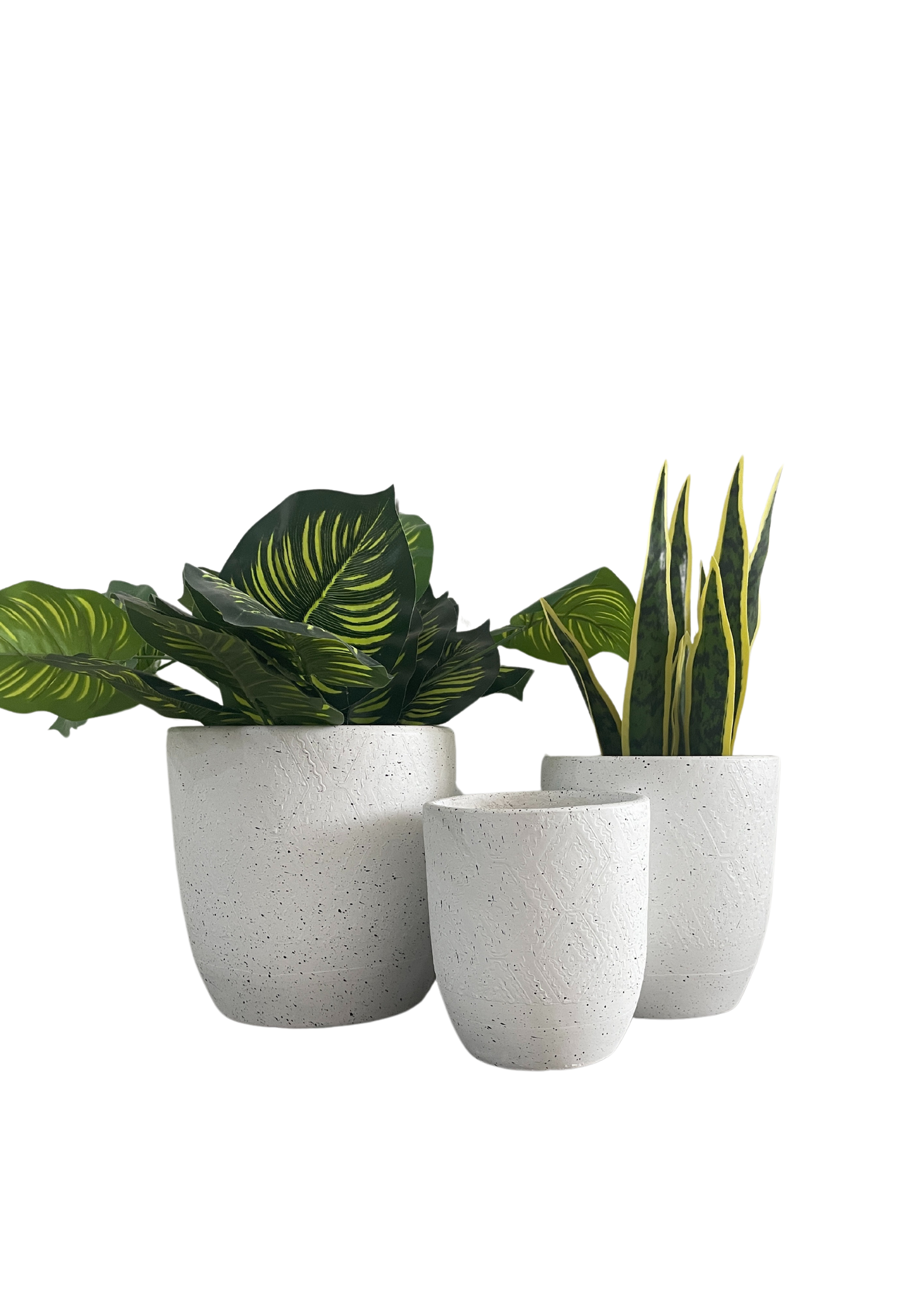 PLANTER XS029 WHITE SPECK
