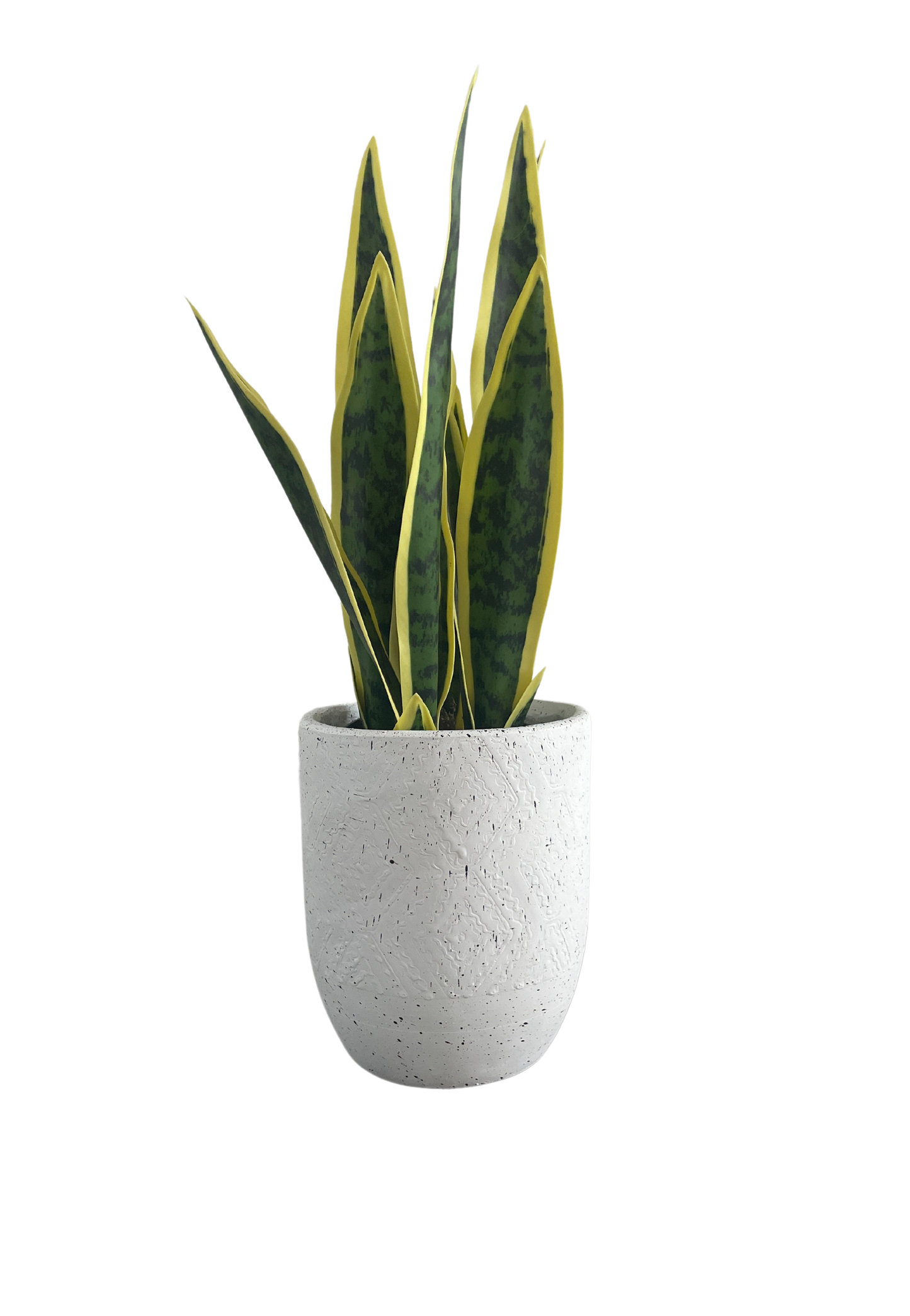 PLANTER XS029 WHITE SPECK
