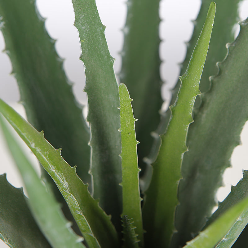 EFOLIA ALOE VERA SMALL (40CM) PCS