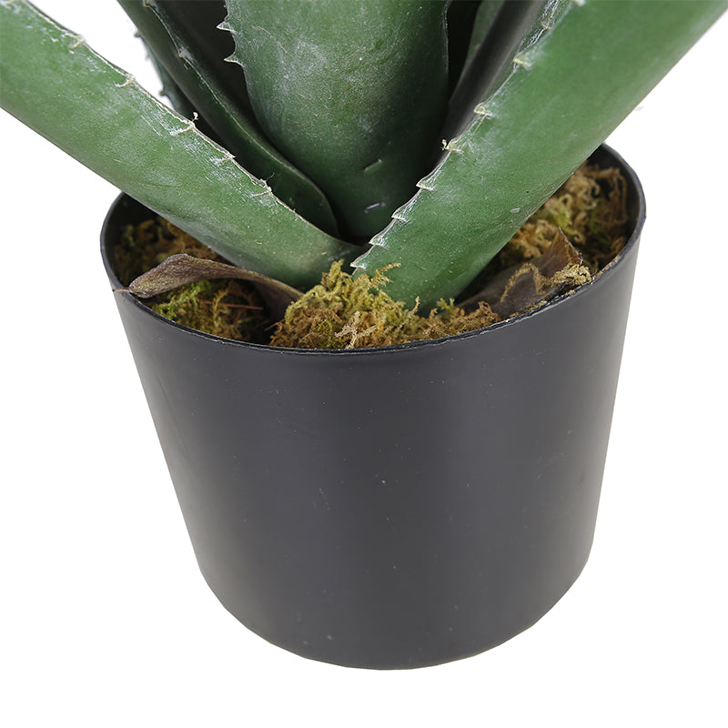 EFOLIA ALOE VERA SMALL (40CM) PCS