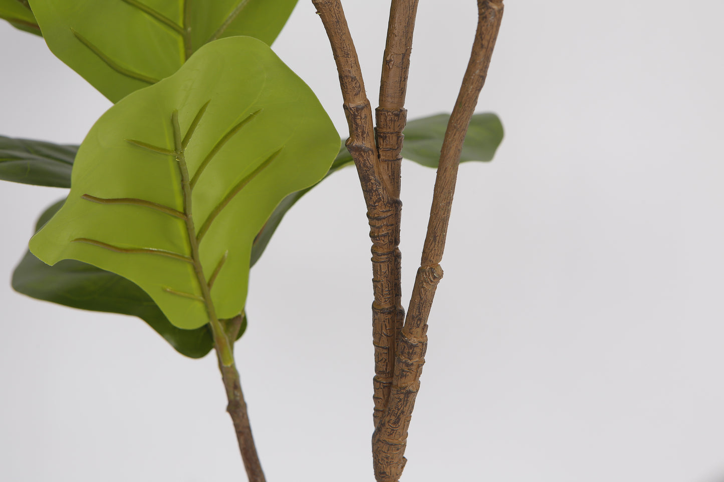 EFOLIA FIDDLE LEAF FIG (120CM) PCS