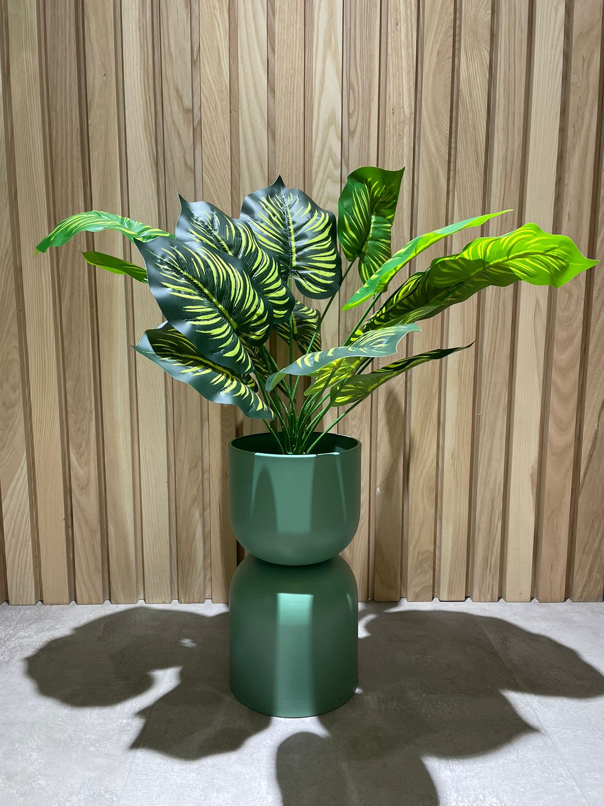 EFOLIA CAMILLE CALATHEA PLANT (58CM) PCS