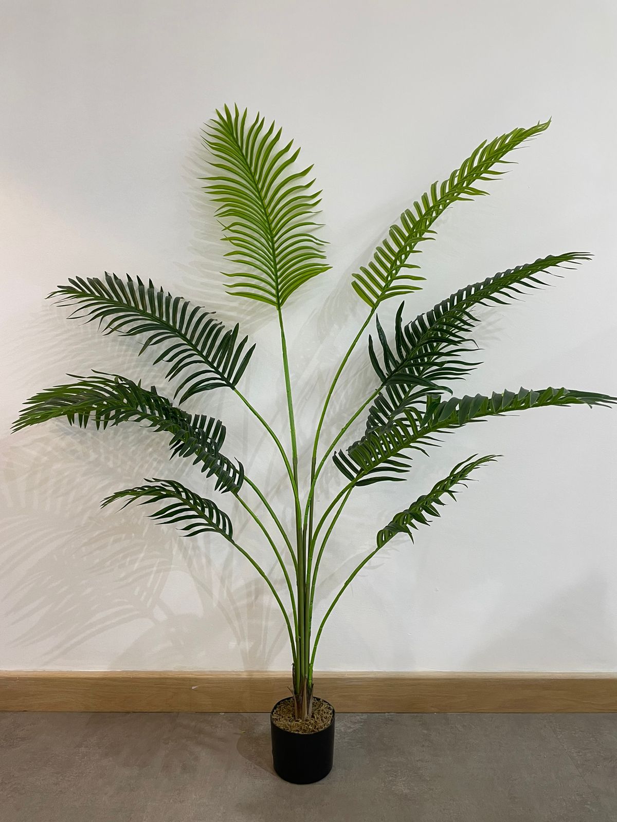 EFOLIA ARIEL ARECA PALM (150CM) PCS