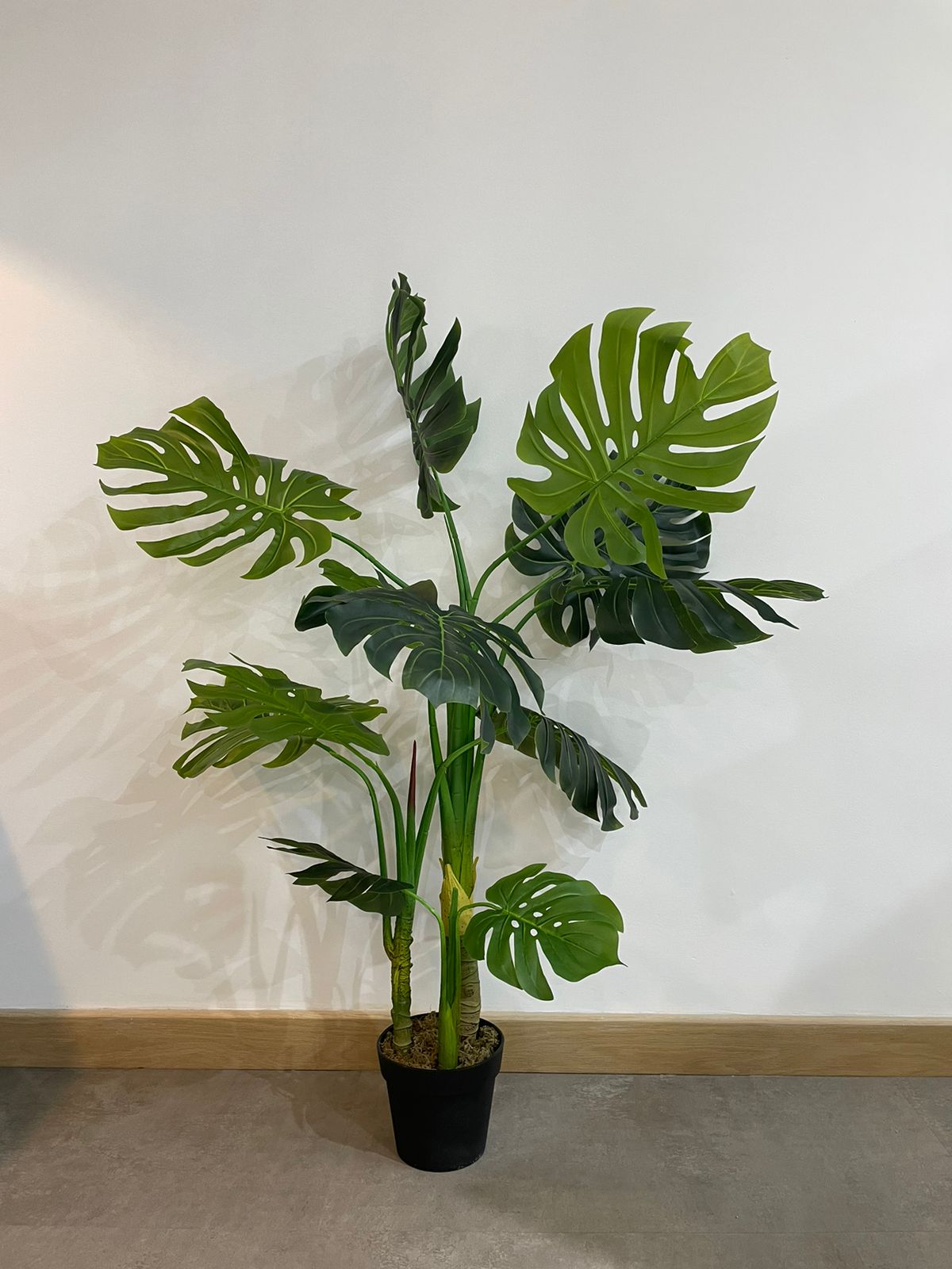 EFOLIA MONA MONSTERRA PLANT (140CM) PCS