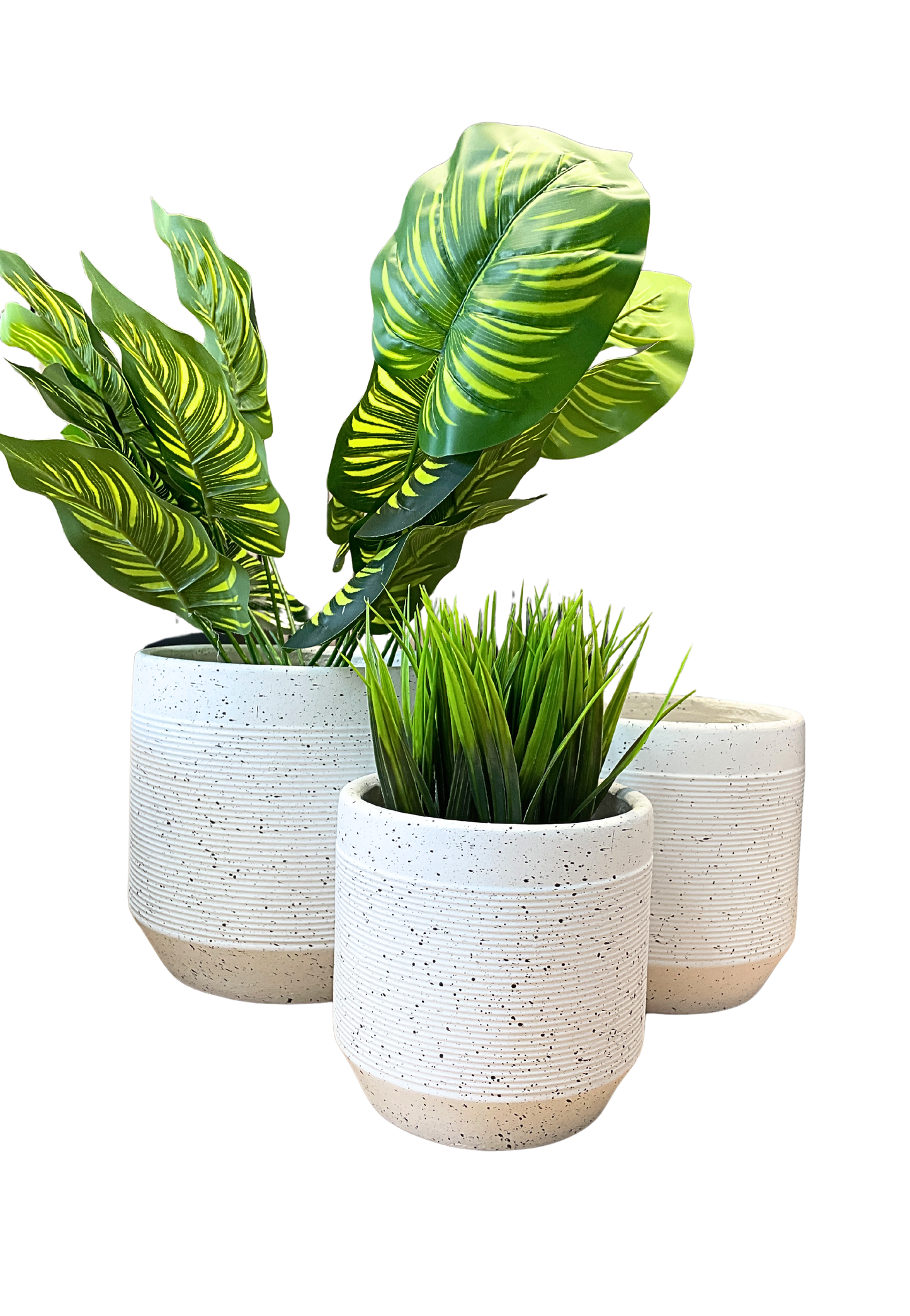 PLANTER XS027