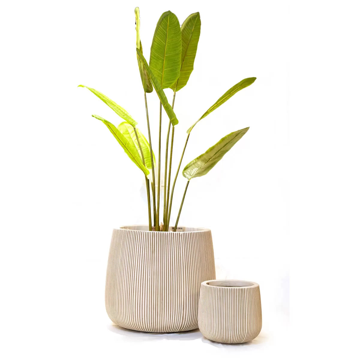 PLANTER FLUTED WHITE FIBRE CEMENT