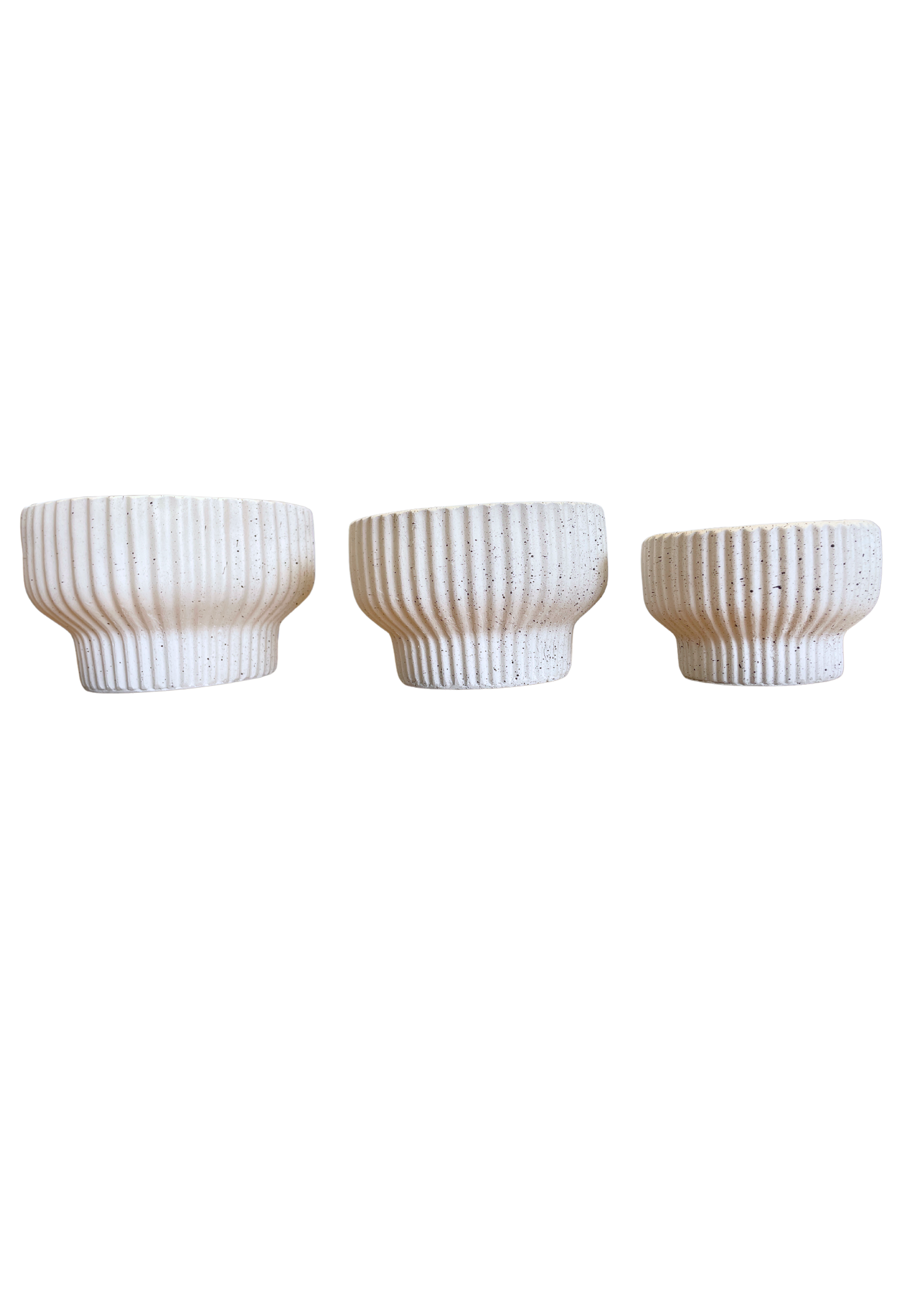 PLANTER XS001