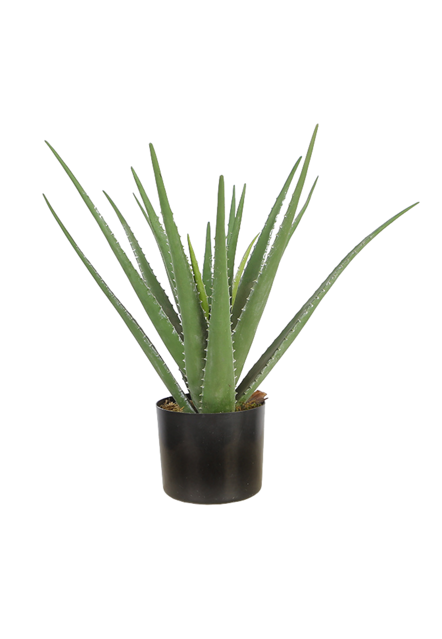 EFOLIA ALOE VERA SMALL (40CM) PCS