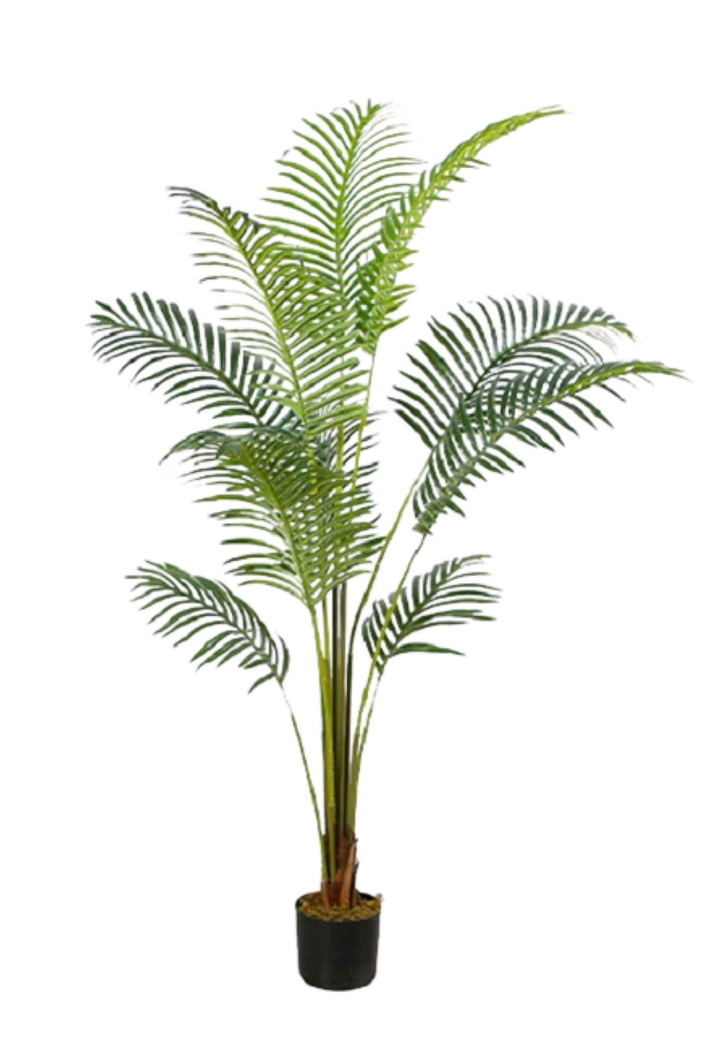 EFOLIA ARIEL ARECA PALM (150CM) PCS