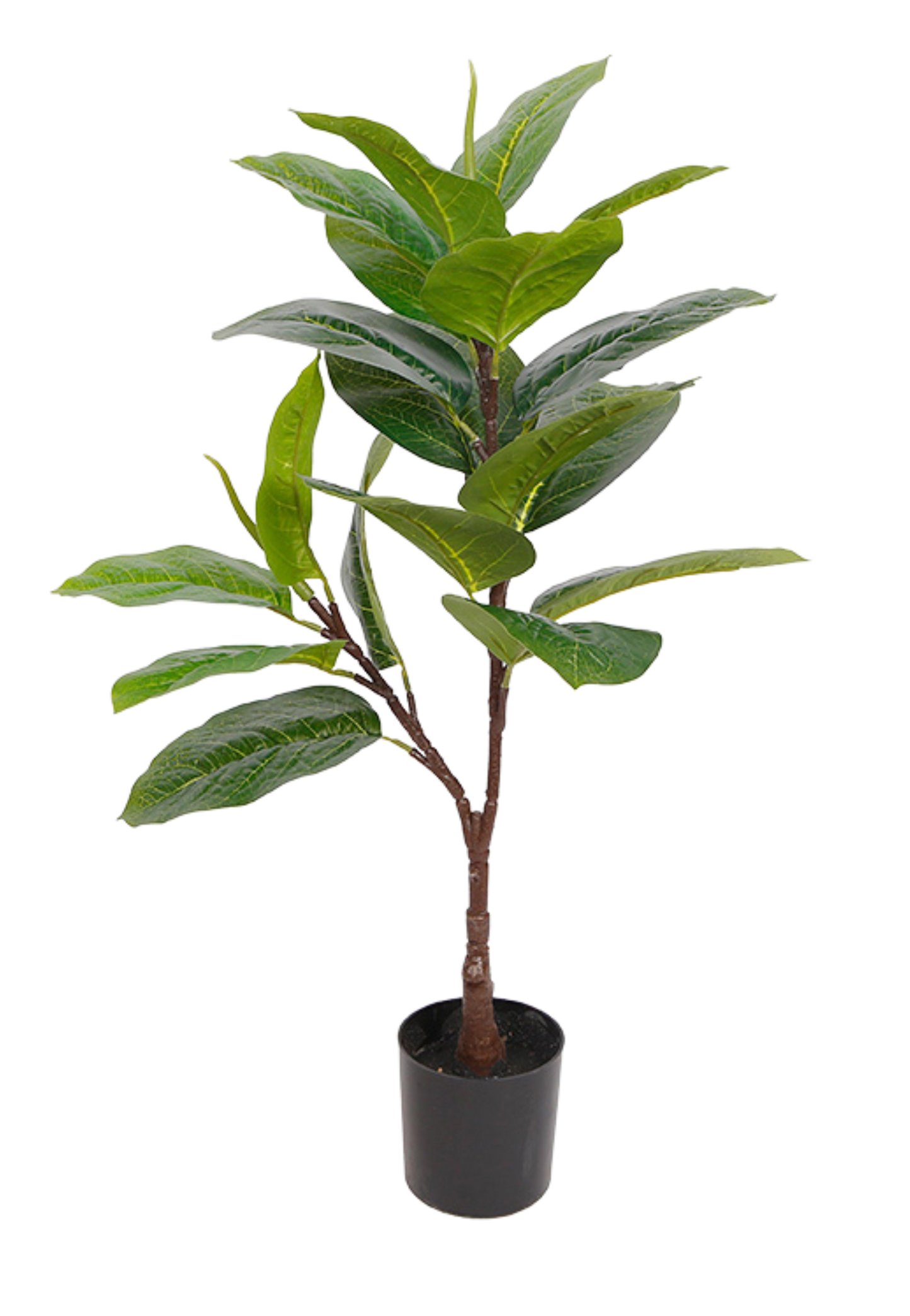 EFOLIA BONSAI BIG (70CM) PCS