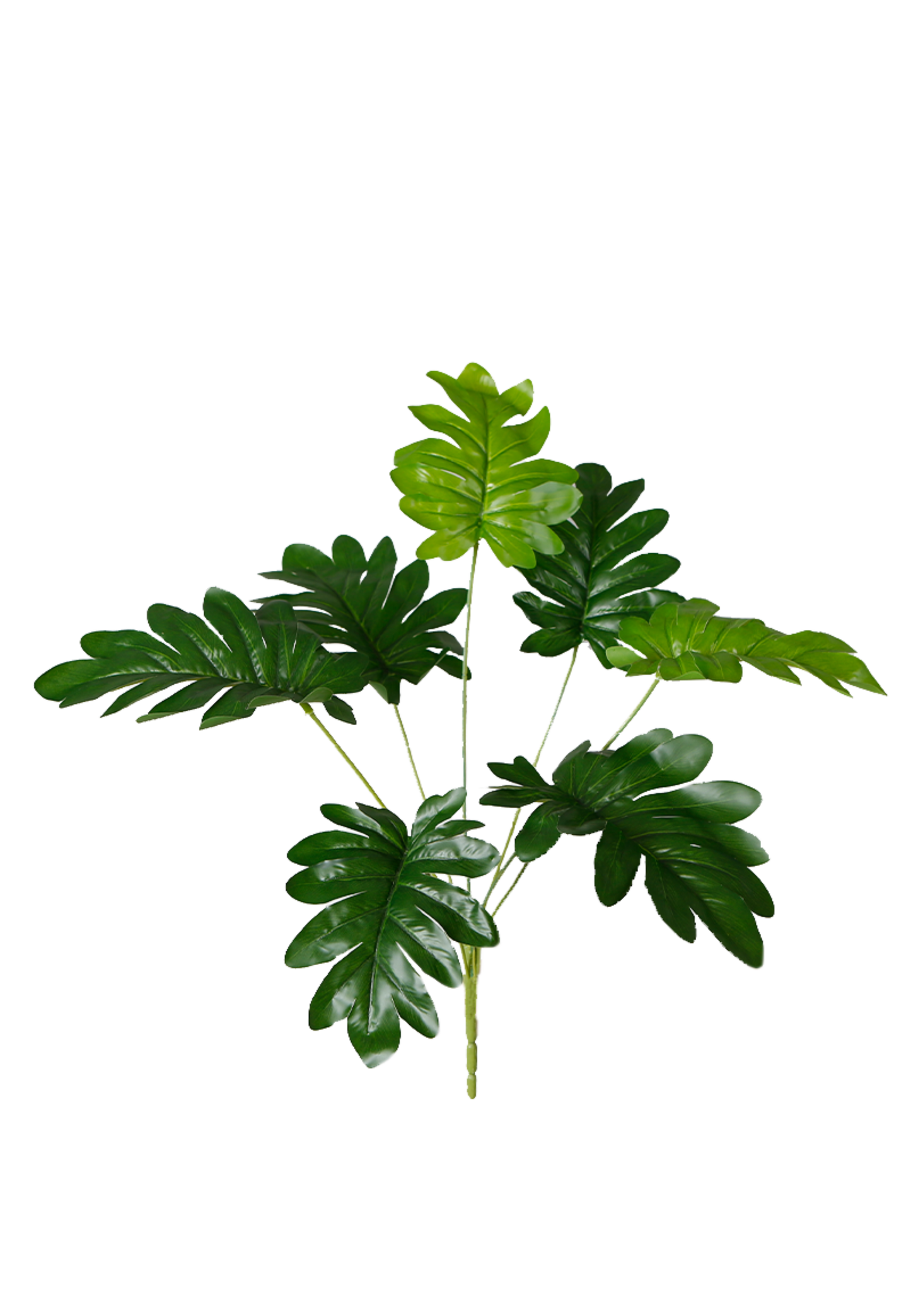 EFOLIA BONSAI SMALL (51CM) PCS