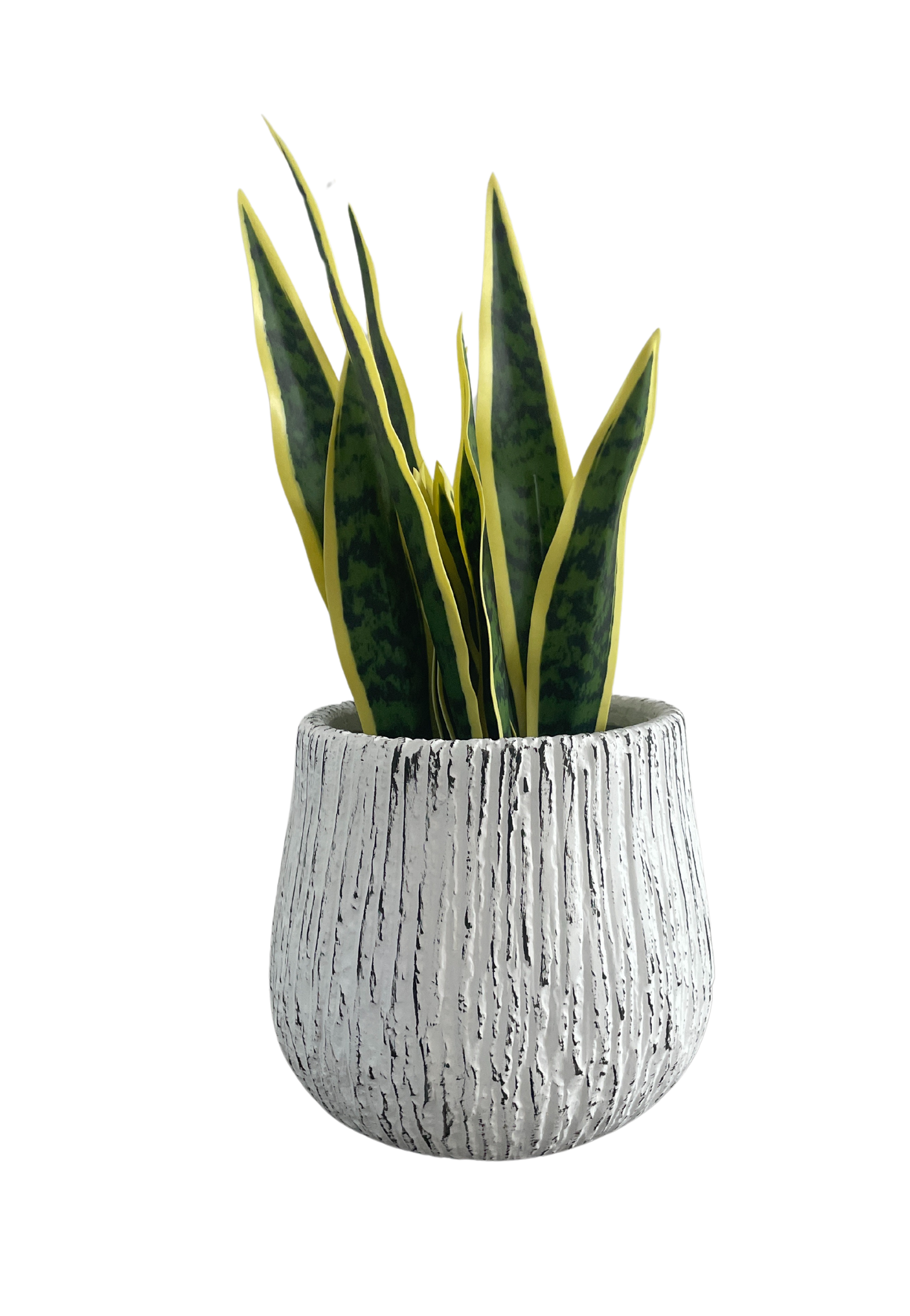 PLANTER FC050C WHITE BRUSHED