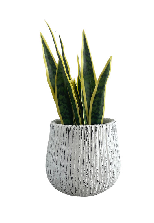 PLANTER FC050C WHITE BRUSHED