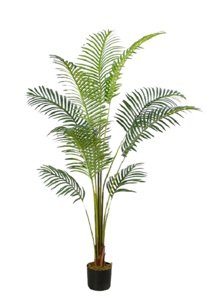 EFOLIA ARIEL ARECA PALM (150CM) PCS